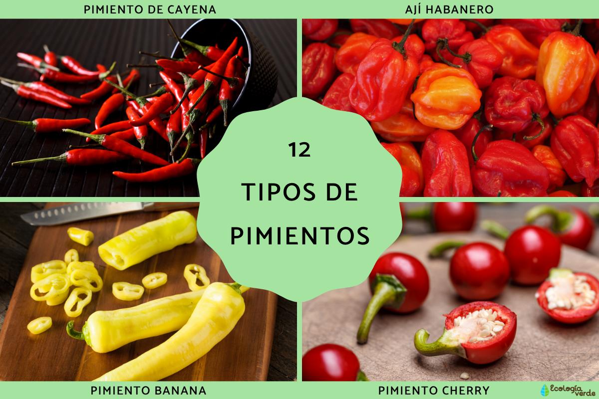 Tipos de pimientos