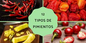 Tipos de pimientos