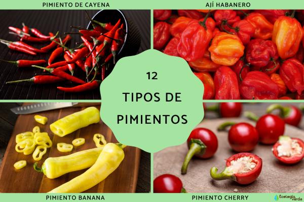 Tipos de pimientos