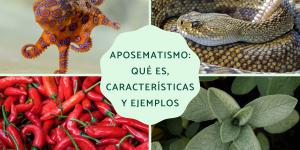 Aposematismo: qué es, características y ejemplos