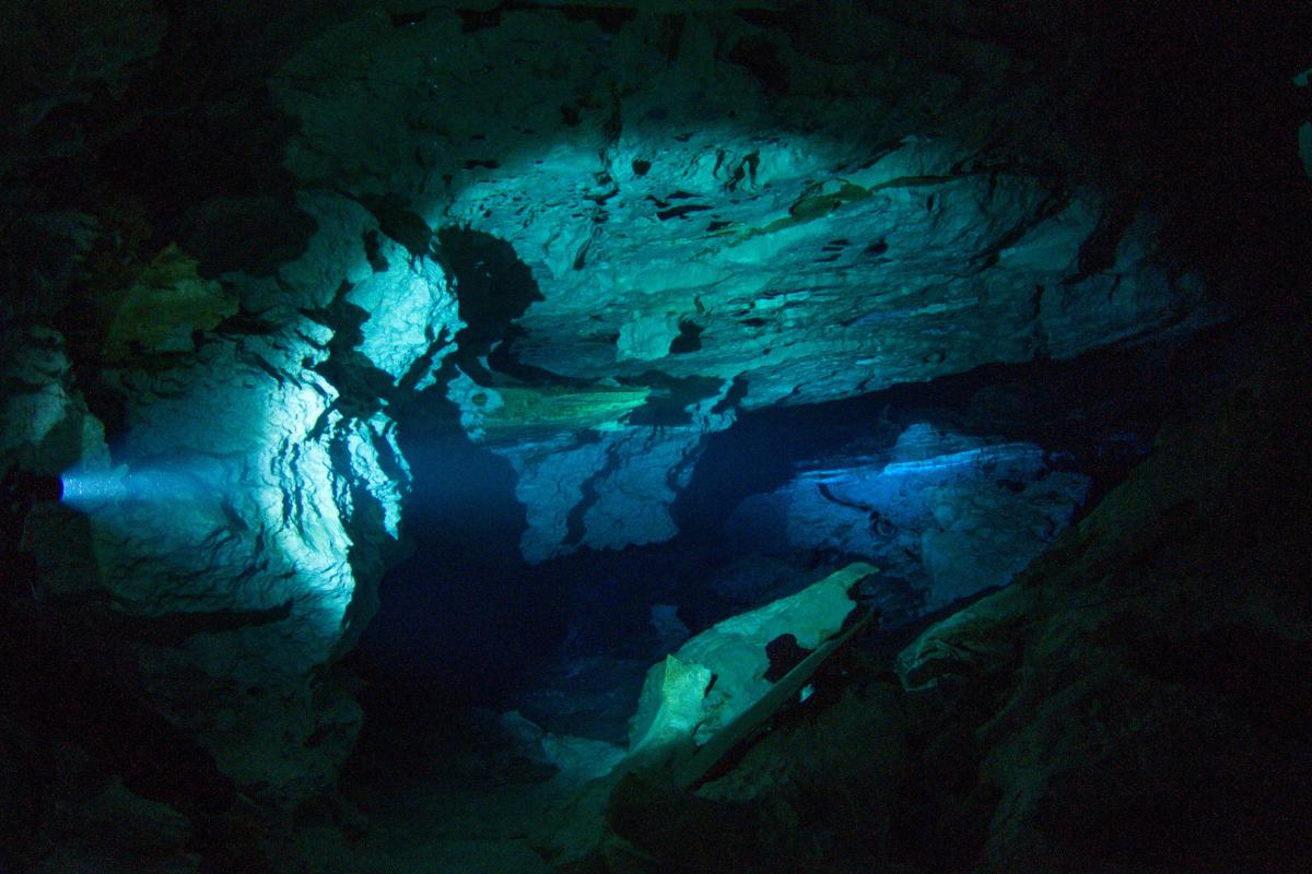 Haloclina: qué es, dónde se encuentra y tipos