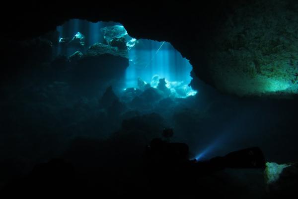 Haloclina: qué es, dónde se encuentra y tipos - Qué es la haloclina