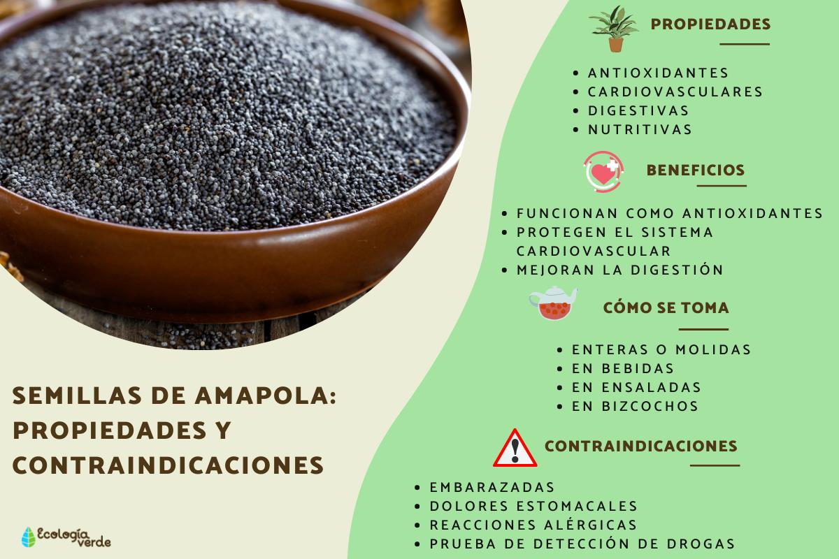 Semillas de amapola: propiedades y contraindicaciones