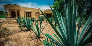 Guadalajara, Jalisco