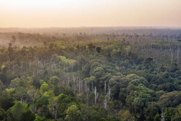 Las islas más grandes del mundo - Borneo