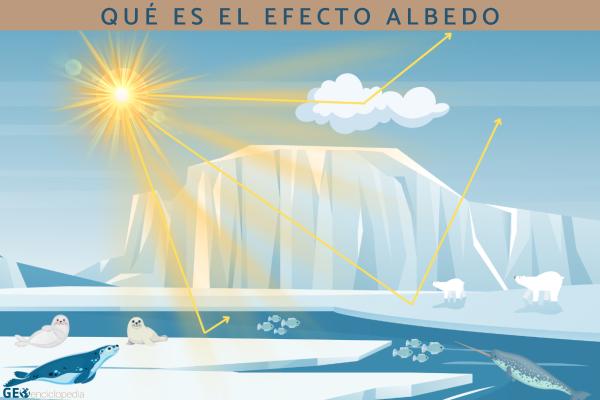 Efecto albedo: qué es, factores, ejemplos y consecuencias