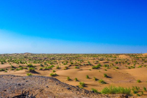 Tipos de desiertos - Desierto de gravilla