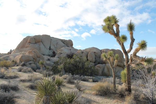 Tipos de desiertos - Desierto de piedra