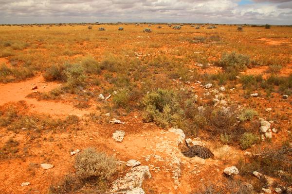 Tipos de desiertos - Desierto de piedra caliza