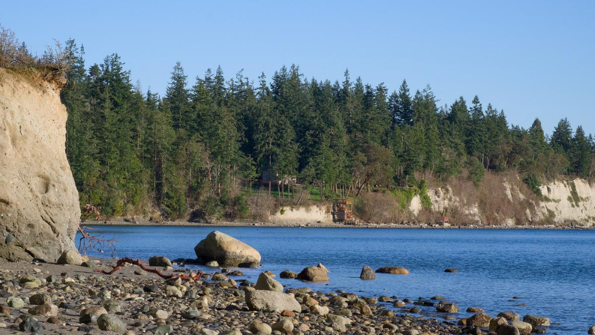 Francia plantó bosques de abeto de Douglas y ahora los científicos descubren que sus arroyos tienen hasta 10 veces más nitratos