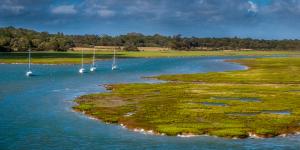 Marismas: qué son, tipos, flora y fauna