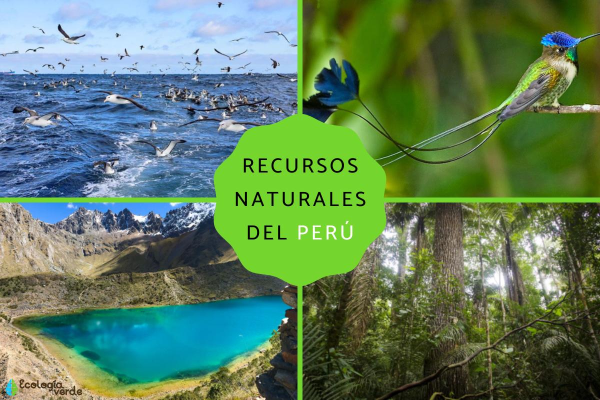 Recursos naturales del Perú