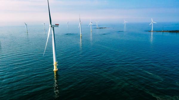 Los biólogos marinos no se lo esperaban: este parque eólico se ha convertido en refugio de pulpos y más de 270 especies marinas - Cómo un parque eólico terminó funcionando como un arrecife artificial