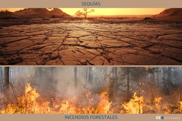 Desastres naturales: qué son, tipos, ejemplos y cómo prevenirlos - 