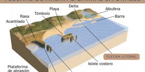 Flechas litorales: qué son y cómo se forman
