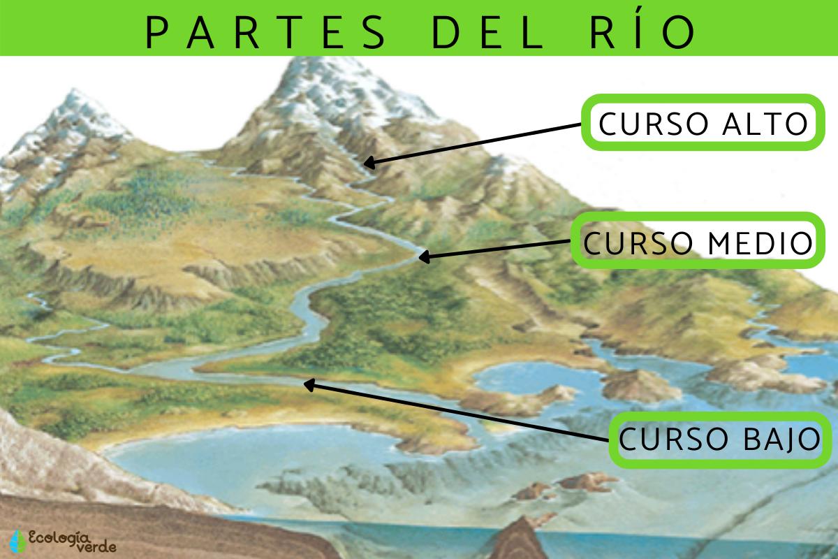 Partes del río y sus características