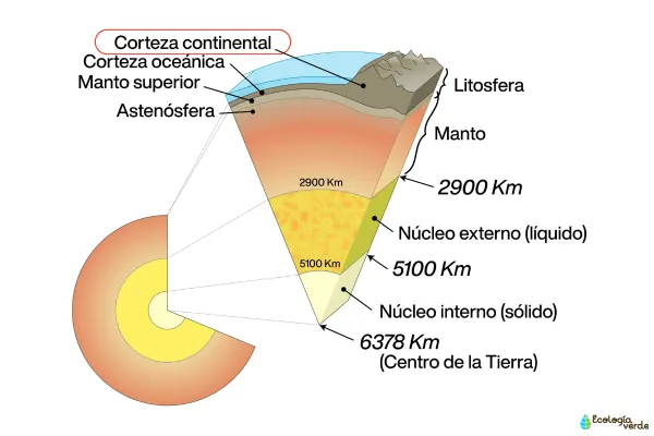 Corteza continental: qué es, características, composición y formación - Resumen