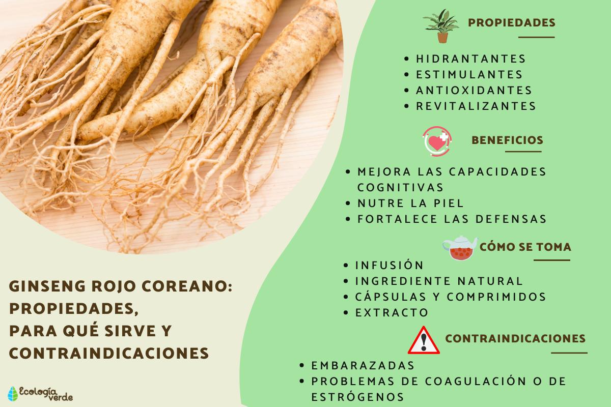 Ginseng rojo coreano: propiedades, para qué sirve y contraindicaciones