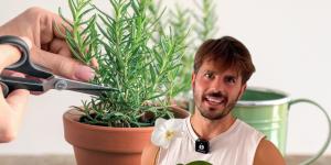 Álvaro Pedrera, experto en plantas: “Después de podar, coge un poco de canela en polvo y aplícala en el corte”
