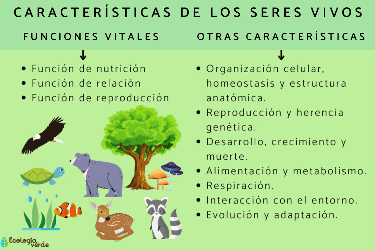 Características de los seres vivos