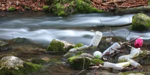 Contaminación por basura: causas, consecuencias y soluciones