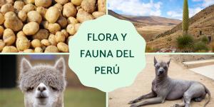 Flora y fauna del Perú