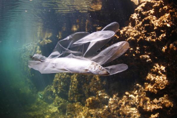 Cómo llega el plástico al mar