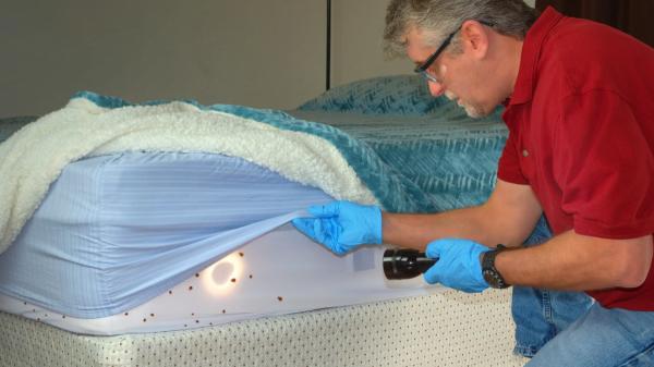 Las chinches de cama pueden esconderse en estos 5 lugares de casa sin que te des cuenta - Las costuras y la parte inferior del colchón