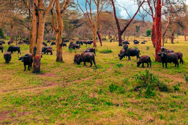 Reservas naturales: qué son, funciones, importancia, tipos y ejemplos - Funciones de las reservas naturales