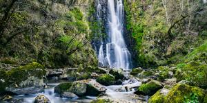 Reservas naturales: qué son, funciones, importancia, tipos y ejemplos