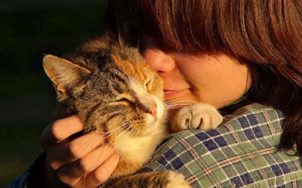 Los 5 reinos de la naturaleza - Reino Animalia