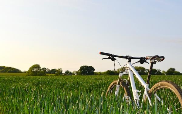 Cuáles son los beneficios de estar en contacto con la naturaleza - Actividades deportivas