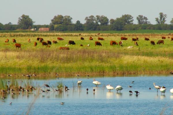 Climas de Argentina: cuáles son y cómo son - Climas templados en Argentina