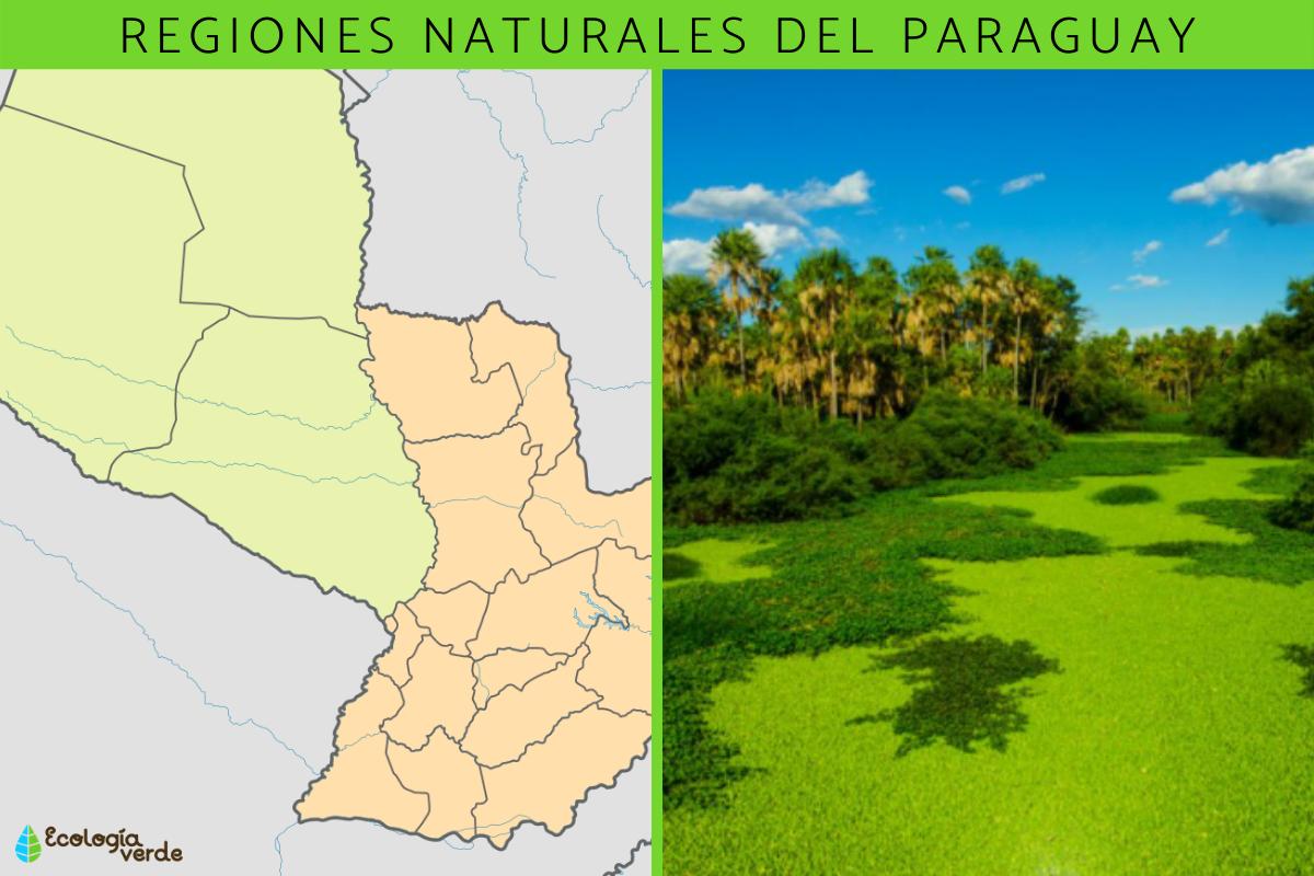 Regiones naturales del Paraguay