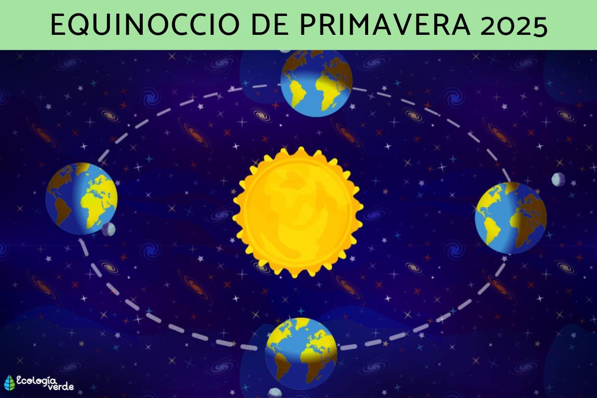 Equinoccio de primavera 2025: hemisferio norte y sur