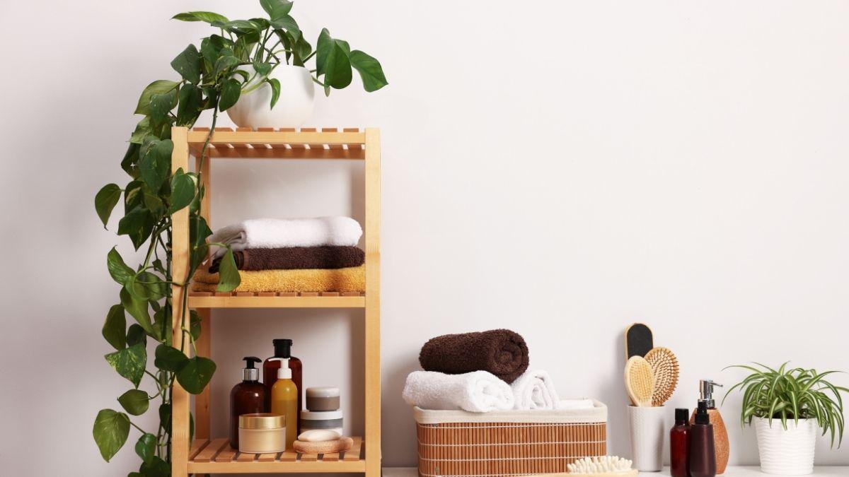 Estas plantas adoran la humedad y son perfectas para purificar el aire de tu baño y reducir los malos olores