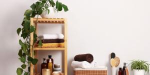 Estas plantas adoran la humedad y son perfectas para purificar el aire de tu baño y reducir los malos olores