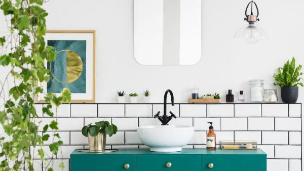 Estas plantas adoran la humedad y son perfectas para purificar el aire de tu baño y reducir los malos olores - Hiedra inglesa