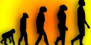 La evolución