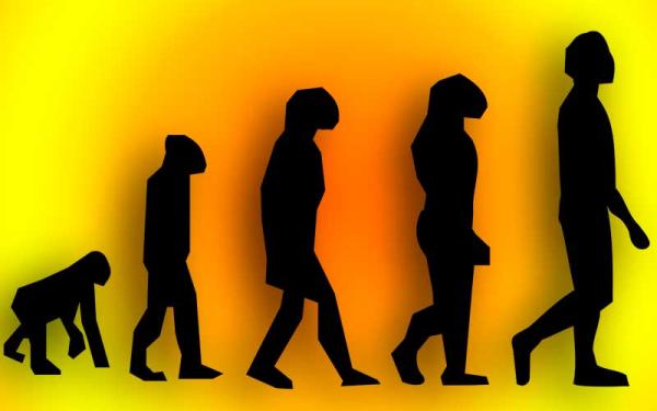 La evolución