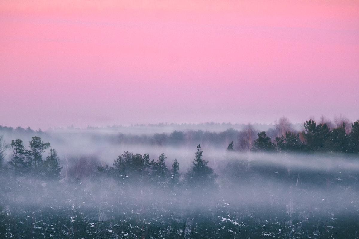 Niebla: qué es y cómo se forma - Resumen