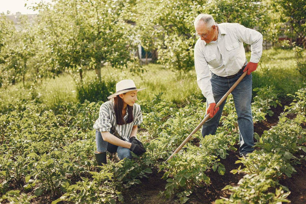 Agroturismo: qué es, características y actividades
