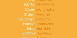 Taxonomía del ser humano