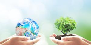 Desequilibrio ecológico: qué es, causas y consecuencias