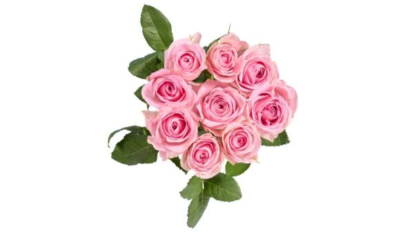 Lidl adelanta el Día de la Madre: estas son las flores que podrás comprar desde mañana (y por menos de 10 euros) - El sábado clave: ramos desde 2,49€ para regalar en este día especial