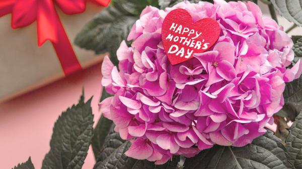 Lidl adelanta el Día de la Madre: estas son las flores que podrás comprar desde mañana (y por menos de 10 euros)