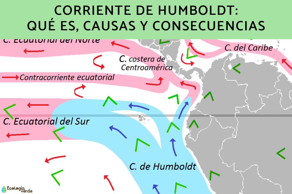 Corriente de Humboldt: qué es, causas y consecuencias