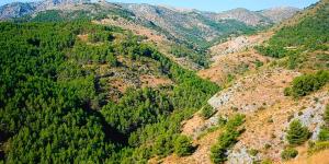 En 1889 un ingeniero español reforestó 5.000 hectáreas a cañonazos: más de un siglo después, Sierra Espuña es uno de los grandes pulmones verdes de Murcia