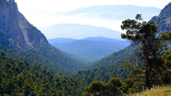 En 1889 un ingeniero español reforestó 5.000 hectáreas a cañonazos: más de un siglo después, Sierra Espuña es uno de los grandes pulmones verdes de Murcia - Semillas disparadas con trabucos para llegar a las zonas más inaccesibles