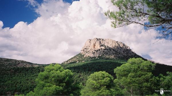 En 1889 un ingeniero español reforestó 5.000 hectáreas a cañonazos: más de un siglo después, Sierra Espuña es uno de los grandes pulmones verdes de Murcia - Sierra Espuña estaba al borde de convertirse en un paisaje desértico